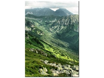Obraz Górskie zbocze, 50x70 cm - Oobrazy