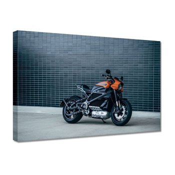 Obraz Harley Davidson Motocykl, 30x20cm - ZeSmakiem