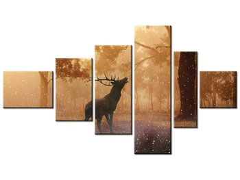 Obraz Jeleń na rykowisku, 6 elementów, 180x100 cm - Oobrazy