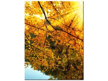Obraz Jesienne słońce nad rzeką, 30x40 cm - Oobrazy
