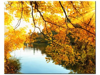 Obraz Jesienne słońce nad rzeką, 50x40 cm - Oobrazy