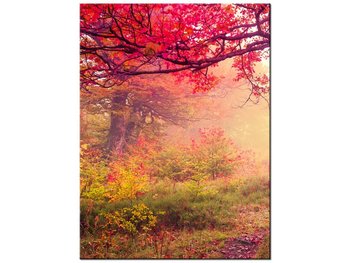 Obraz Jesienny krajobraz, 30x40 cm - Oobrazy