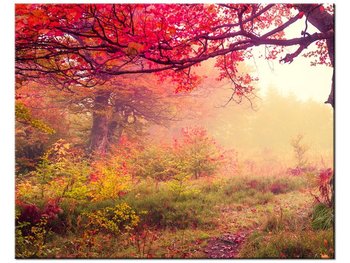 Obraz Jesienny krajobraz, 50x40 cm - Oobrazy