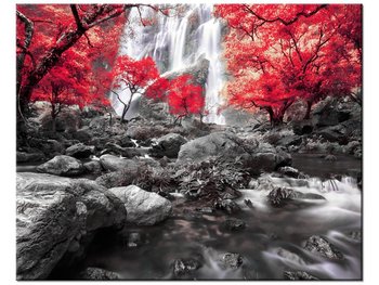Obraz Jesienny wodospad, 50x40 cm - Oobrazy