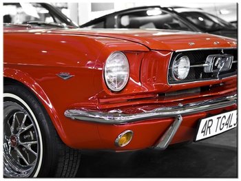 Obraz Klasyczny Mustang, 40x30 cm - Oobrazy