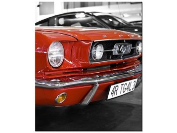 Obraz Klasyczny Mustang, 50x60 cm - Oobrazy