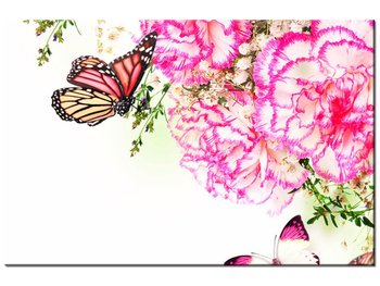 Obraz Kolorowe motylki, 60x40 cm - Oobrazy