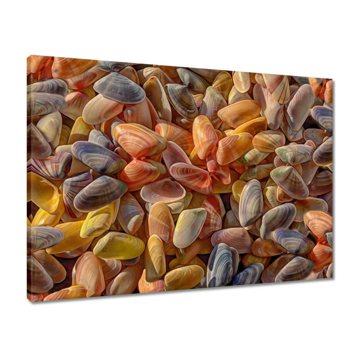 Obraz Kolorowe Muszelki Do Druk 70x50cm ZeSmakiem Sklep EMPIK COM obraz-kolorowe-muszelki-do-druk-70x50cm-zesmakiem-sklep-empik-com