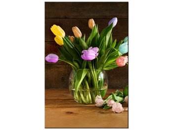 Obraz Kolorowe tulipany, 80x120 cm - Oobrazy