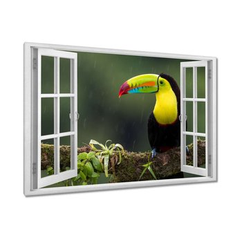 Obraz Kolorowy tukan na gałęzi, 120x80cm - ZeSmakiem