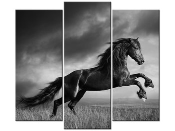 Obraz Koń, 3 elementy, 90x80 cm - Oobrazy