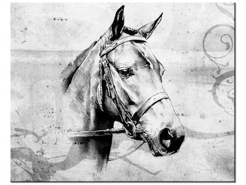 Obraz Koń, 50x40 cm - Oobrazy