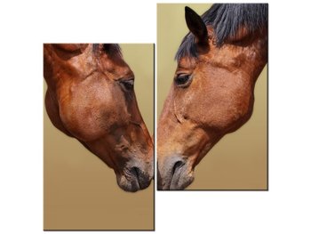 Obraz Konie, 2 elementy, 60x60 cm - Oobrazy