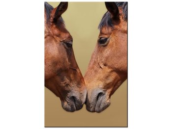 Obraz Konie, 20x30 cm - Oobrazy