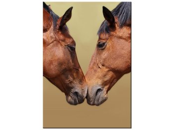 Obraz Konie, 70x100 cm - Oobrazy