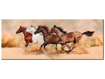 Obraz, Konie w galopie, 100x40 cm - Oobrazy