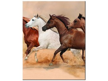 Obraz Konie w galopie, 40x50 cm - Oobrazy