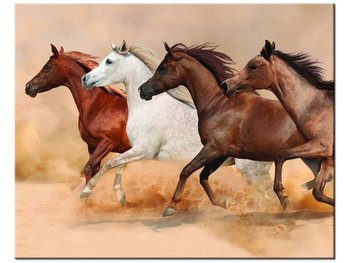 Obraz Konie w galopie, 50x40 cm - Oobrazy