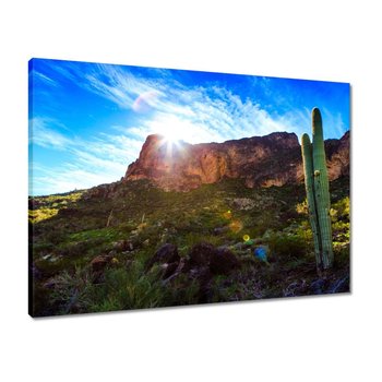 Obraz Krajobraz z kaktusem, 70x50cm - ZeSmakiem