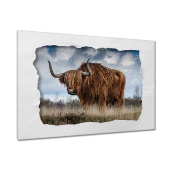 Obraz Krowa rasy wyżynnej, 60x40cm - ZeSmakiem