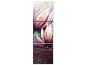 Obraz Kwiat magnolii, 3 elementy, 30x90 cm - Oobrazy