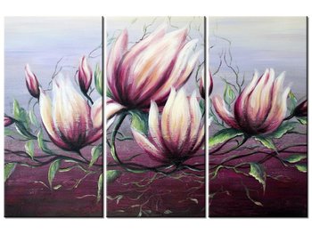 Obraz Kwiat magnolii, 3 elementy, 90x60 cm - Oobrazy
