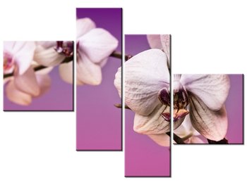Obraz Kwiaty, 4 elementy, 100x70 cm - Oobrazy