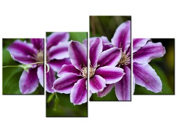 Obraz Kwiaty azalii, 4 elementy, 120x70 cm - Oobrazy