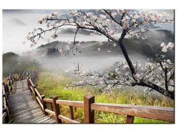 Obraz, Kwitnąca wiśnia, 120x80 cm - Oobrazy