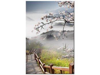 Obraz Kwitnąca wiśnia, 20x30 cm - Oobrazy