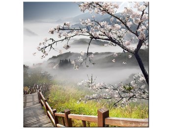 Obraz, Kwitnąca wiśnia, 30x30 cm - Oobrazy