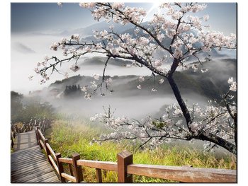 Obraz, Kwitnąca wiśnia, 50x40 cm - Oobrazy