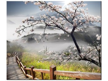 Obraz, Kwitnąca wiśnia, 60x50 cm - Oobrazy