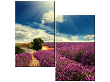 Obraz Lawendowy krajobraz, 2 elementy, 60x60 cm - Oobrazy