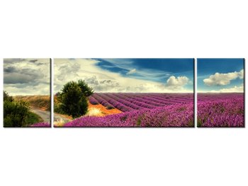 Obraz, Lawendowy krajobraz, 3 elementy, 170x50 cm - Oobrazy