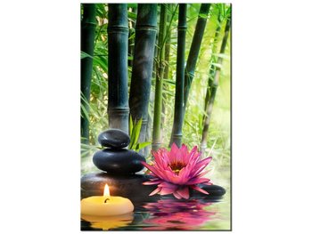 Obraz Lilie i bambusy, 80x120 cm - Oobrazy