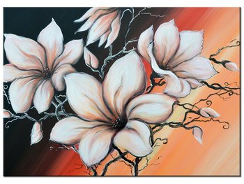 Obraz Magnolia o zachodzie słońca, 70x50 cm - Oobrazy