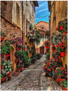 Obraz Malowanie Po Numerach Na Krośnie Rama 40X50 - Norimpex