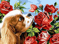 Obraz Malowanie po numerach, Pies z różami - Norimpex