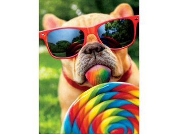 Obraz Malowanie Po Numerach Rama 40X50Cm Pies W Okularach - Zabawkowy Zawrót Głowy