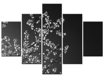Obraz Młode drzewo - Feans, 5 elementów, 100x70 cm - Oobrazy