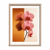 Obraz Modernpik Pink Orchid 30x40
