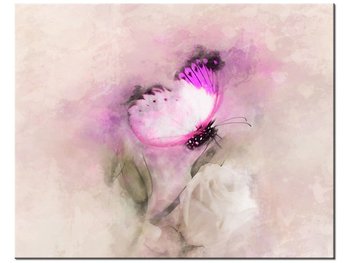 Obraz Motyl i róża, 50x40 cm - Oobrazy