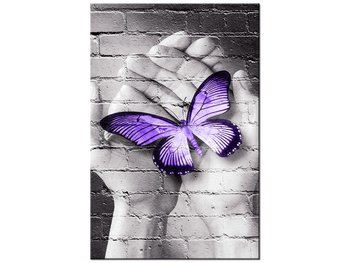 Obraz Motyl na dłoniach, 80x120 cm - Oobrazy