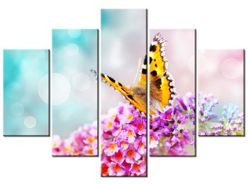 Obraz Motyl na kwiatkach, 5 elementów, 150x105 cm - Oobrazy