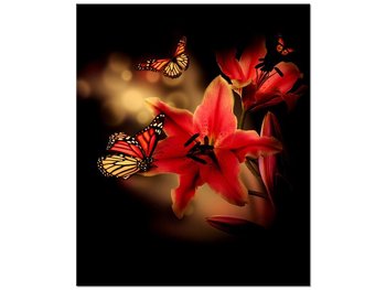 Obraz Motyle i lilia, 50x60 cm - Oobrazy