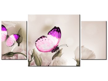 Obraz Motyli raj, 3 elementy, 80x40 cm - Oobrazy
