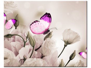 Obraz, Motyli raj, 50x40 cm - Oobrazy