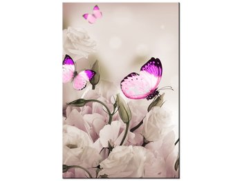 Obraz, Motyli raj, 80x120 cm - Oobrazy