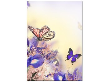 Obraz Motylki, 70x100 cm - Oobrazy